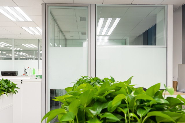 Mount Everest series